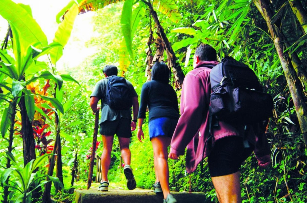 Bagus Jati Health & Wellbeing Retreat Image 14