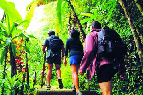 Bagus Jati Health & Wellbeing Retreat image 14