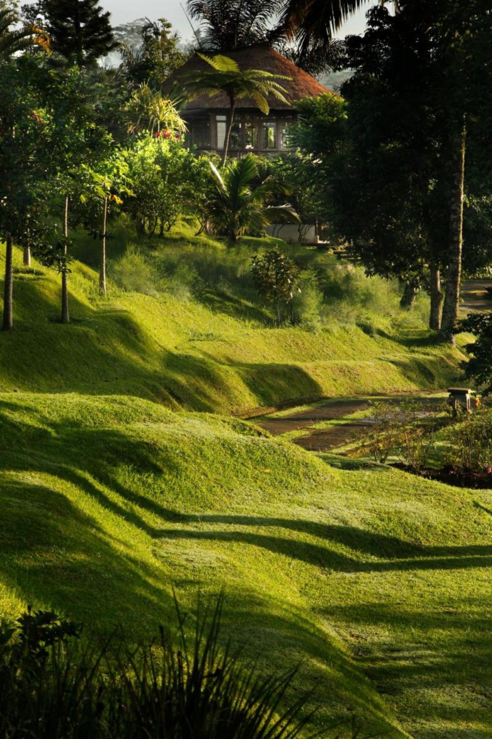 Bagus Jati Health & Wellbeing Retreat Image 23