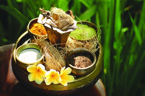 Bagus Jati Health & Wellbeing Retreat image 28